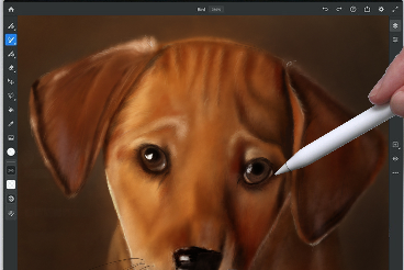 Top 5 Realistic Digital Painting softwares for iPad